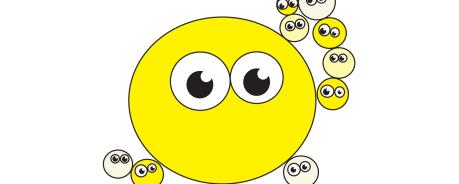 Chlamydia Trachomatis Chlamydia Trachomatis