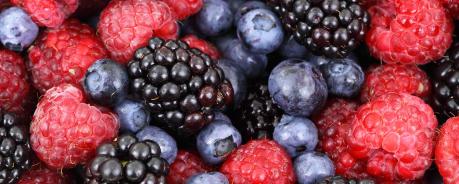 Beeren Ernährung